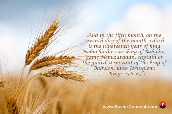 北北西に曇と往け = NORðNORðVESTUR,INN Í SKÝJABA… Crash of an Ilyushin II-62 near Damascus: 126 killed