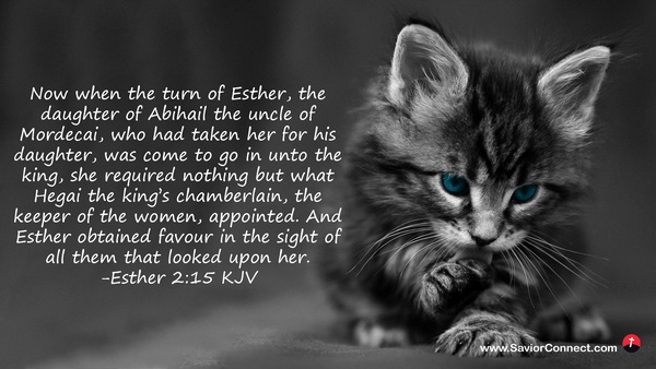 esther 2 15 kjv
