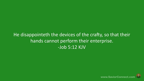 Job 5:12 KJV
