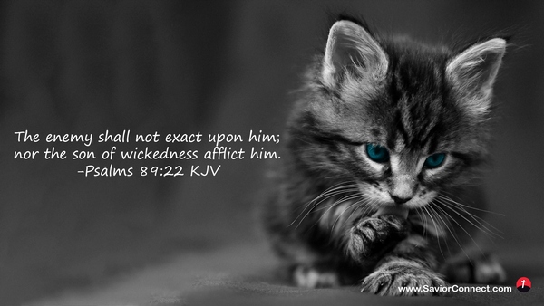 Psalms 89:22 KJV Psalms 89:22 KJV