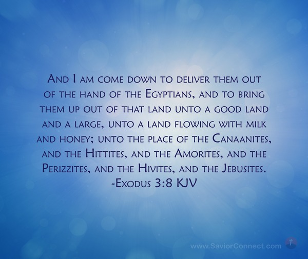 exodus 3 8 kjv