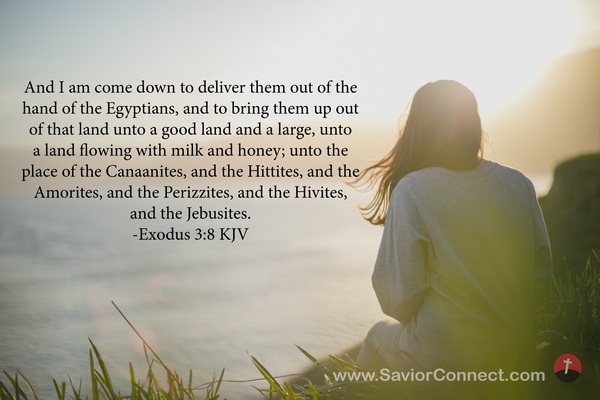 exodus 3 1 8 kjv