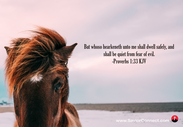 Proverbs 1 33 KJV