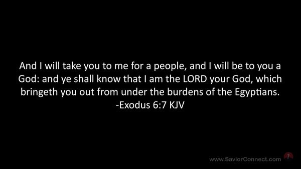 Exodus 6 7 kjv cheap