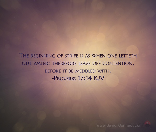 Proverbs 17 14 KJV proverbs-17-14-kjv