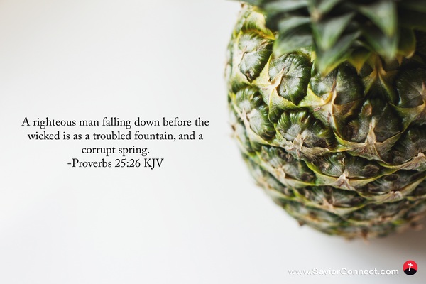 Meaning Of Proverbs 25 26 Meaning Of Proverbs 25 26