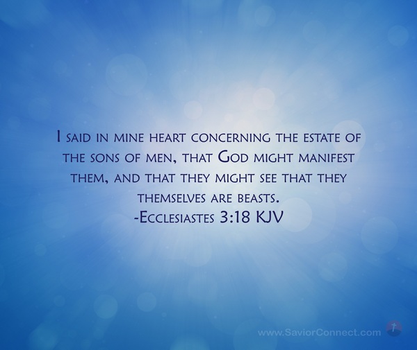 ecclesiastes 3 18 22 kjv