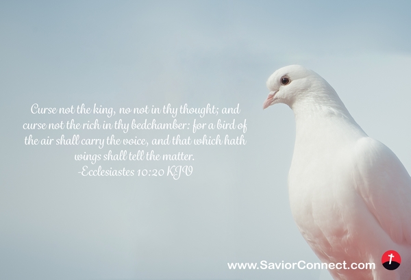 Ecclesiastes 10:20 Kjv