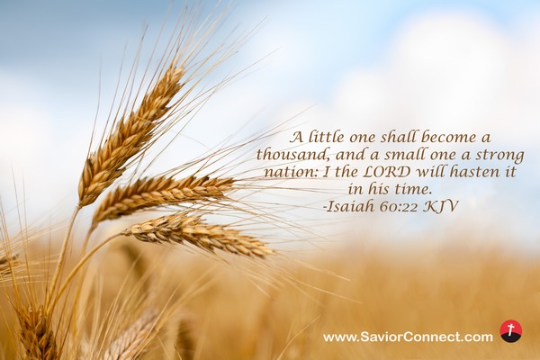 Isaiah 6022 ASV Desktop Wallpaper  The little one shall become a  thousand and the