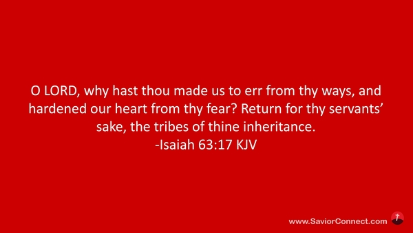 Isaiah 63:17 KJV