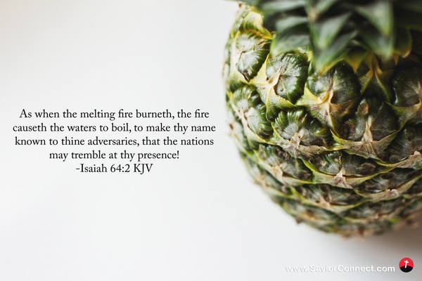 Isaiah 64:2 KJV