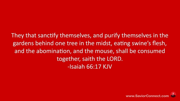 isaiah 66 17 kjv