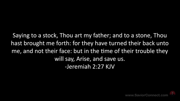 Jeremiah 2:27 KJV