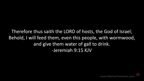 Jeremiah 9:15 KJV