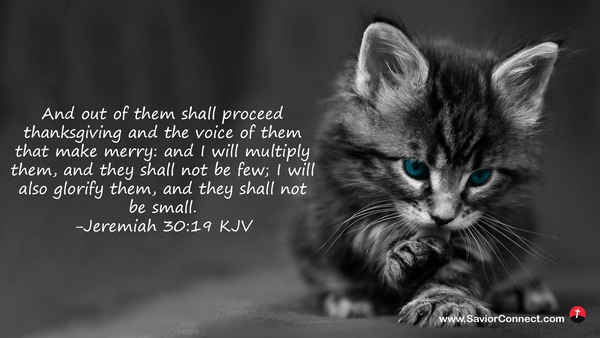 Jeremiah 30 19 Kjv
