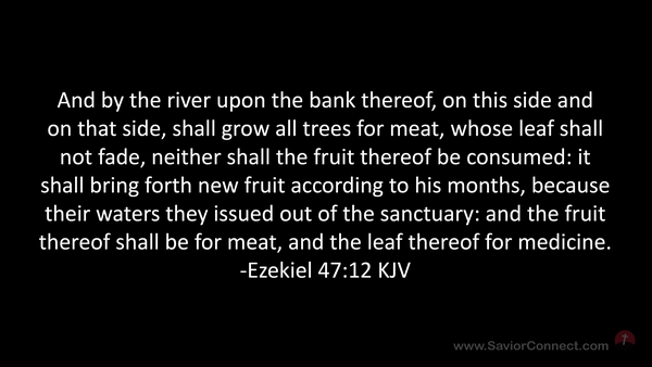 Ezekiel 47 12 kjv