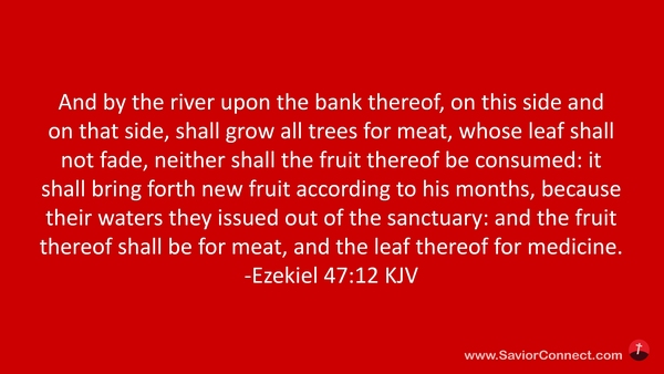 Ezekiel 47:12 Kjv