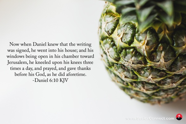 Daniel 6 10 Kjv
