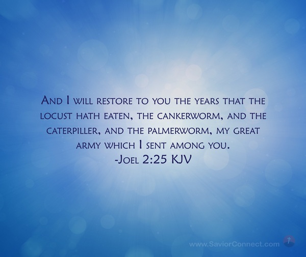 joel 2 25 kjv