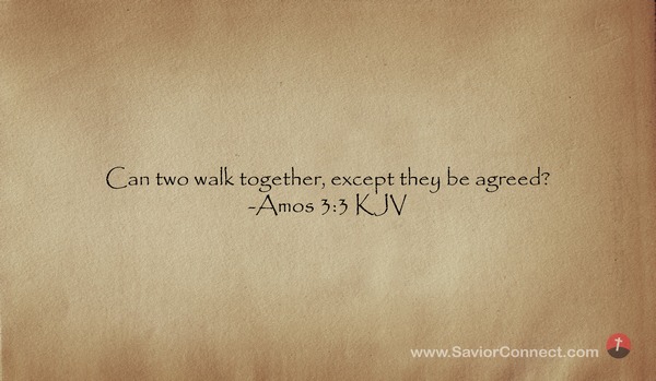 amos 3 3 kjv