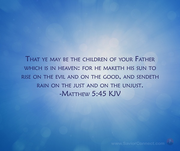 Matthew 545 KJV