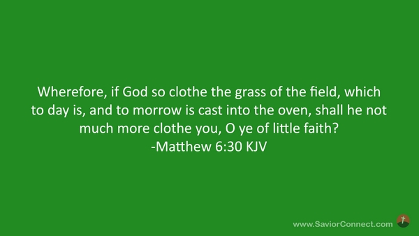 matthew 6 30 kjv meaning
