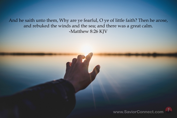 matthew 8 26 kjv