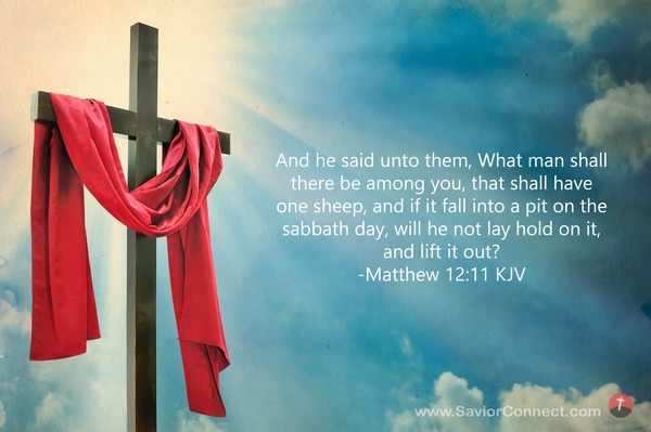 Matthew 12 11 Kjv Matthew 12 11 Kjv