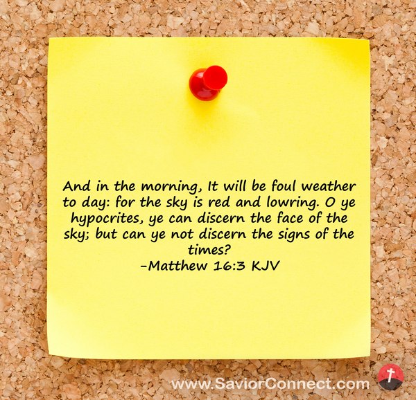 matthew 3 13-16 kjv