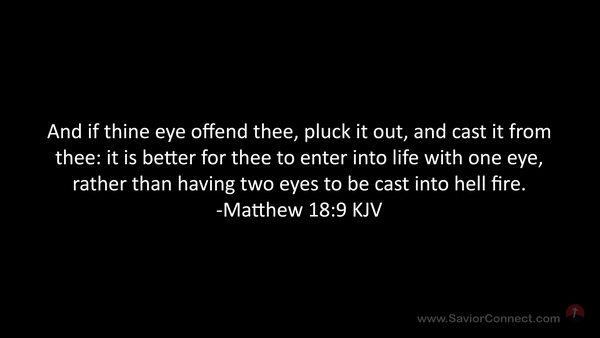 Matthew 18:9 KJV
Biblical Marriage