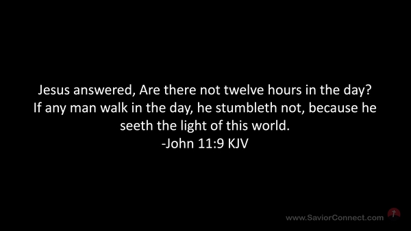 John 11:9 KJV