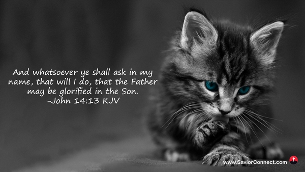John 14 13 KJV
