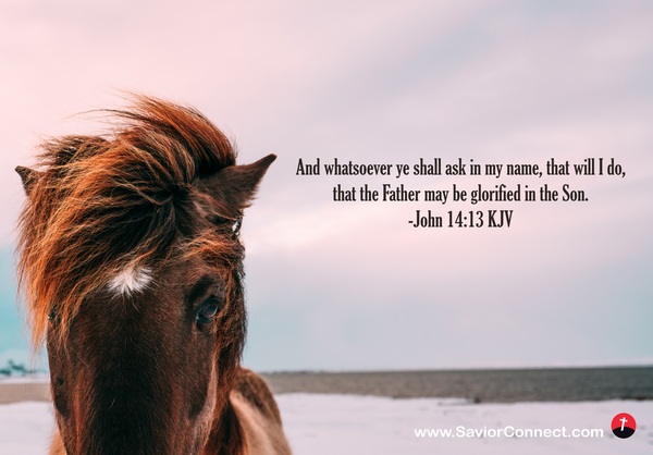 John 14 13 KJV