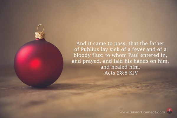 Acts 28:8 Kjv