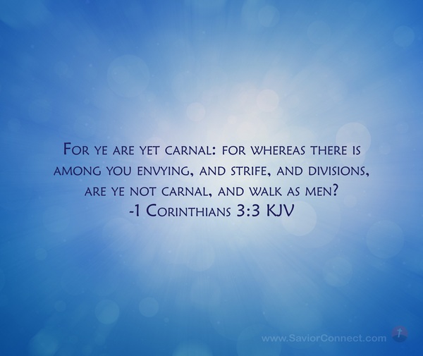 1 Corinthians 3 3 KJV