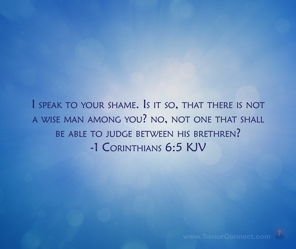 1 Corinthians 6 5 KJV