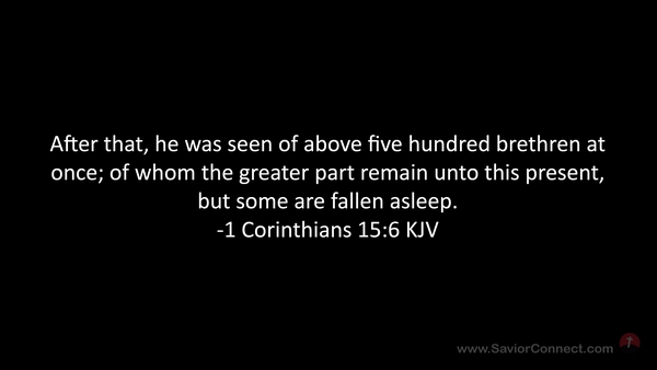 I corinthians 6 kjv clearance