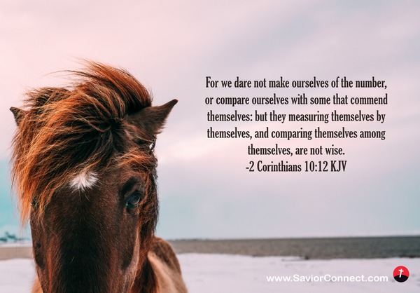 2 corinthians 10 12 amplified version