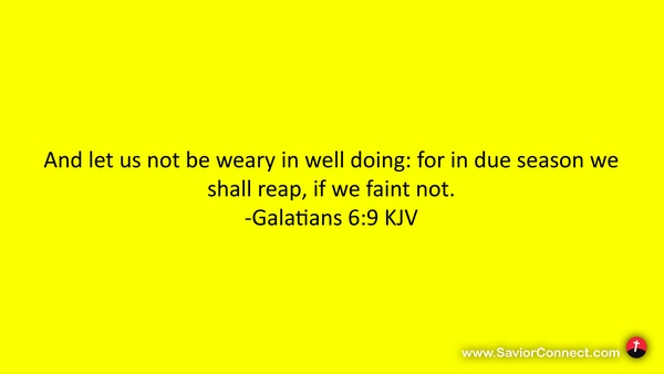 Galatians 6:9 KJV