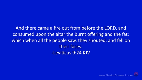 Leviticus 9:24 KJV