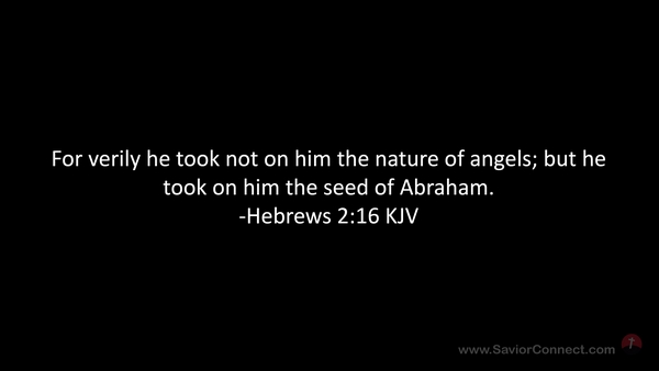 klip konkurs mistænksom Hebrews 2:16 KJV