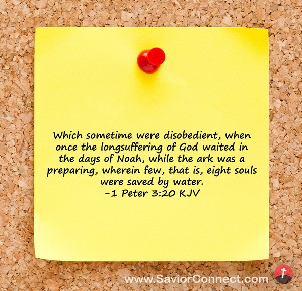 1 Peter 3 20 KJV 1-peter-3-20-kjv