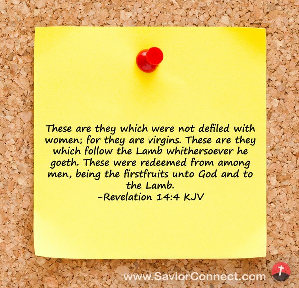 revelation-14-4-kjv