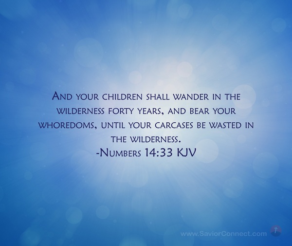 Numbers 14:33 KJV