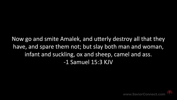 7564-black-kjv-1-samuel-15-3_preview.jpg