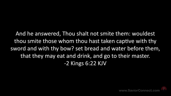 2 Kings 6:22 KJV