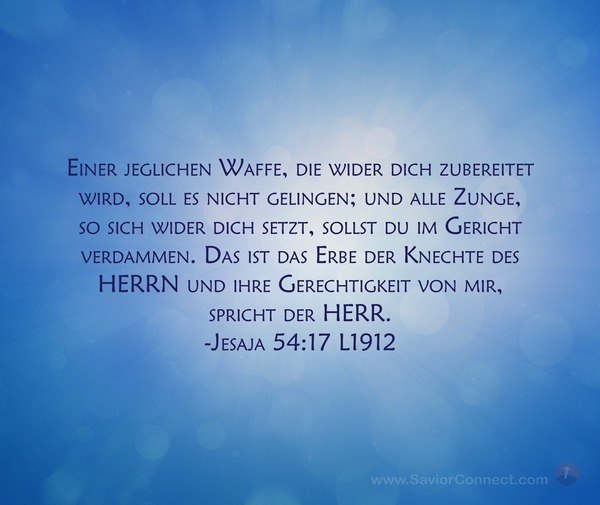 Jinsiy aloqani ragbatlantiradigan ovqatlar