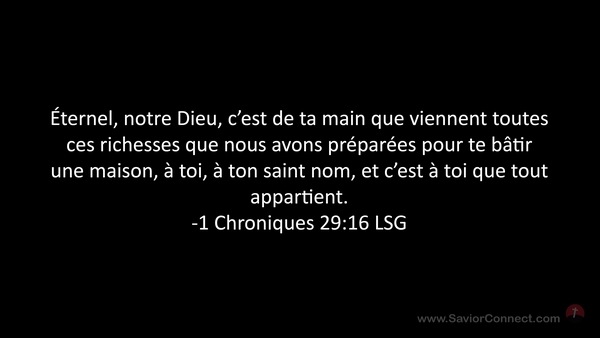 1 Chroniques 29:16 LSG