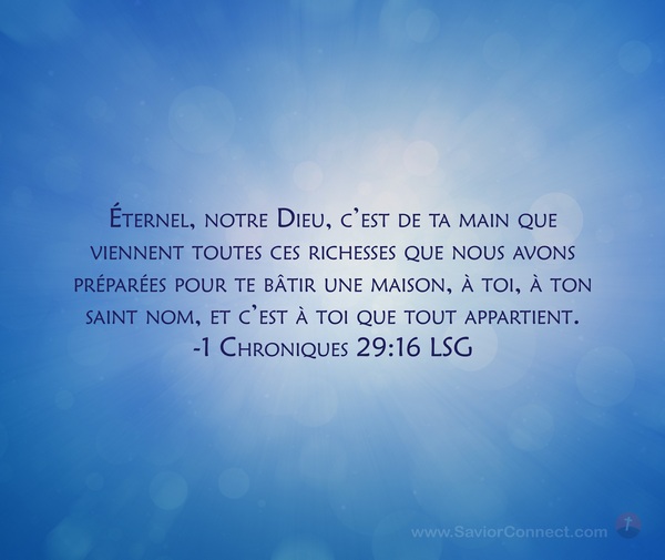 1 Chroniques 29:16 LSG