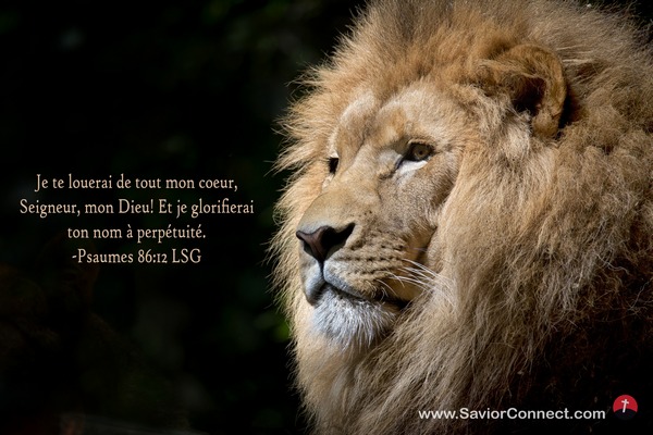 Psaumes 86:12 LSG